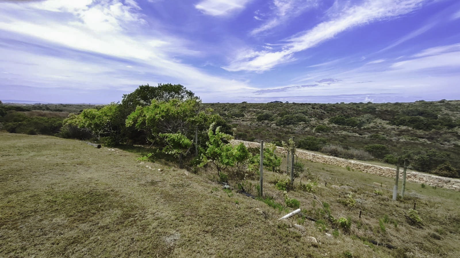 3 Bedroom Property for Sale in Stilbaai Rural Western Cape